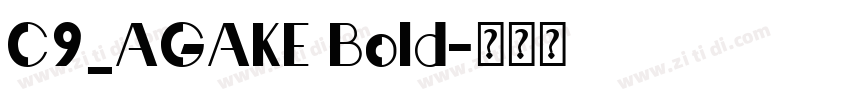C9_AGAKE Bold字体转换